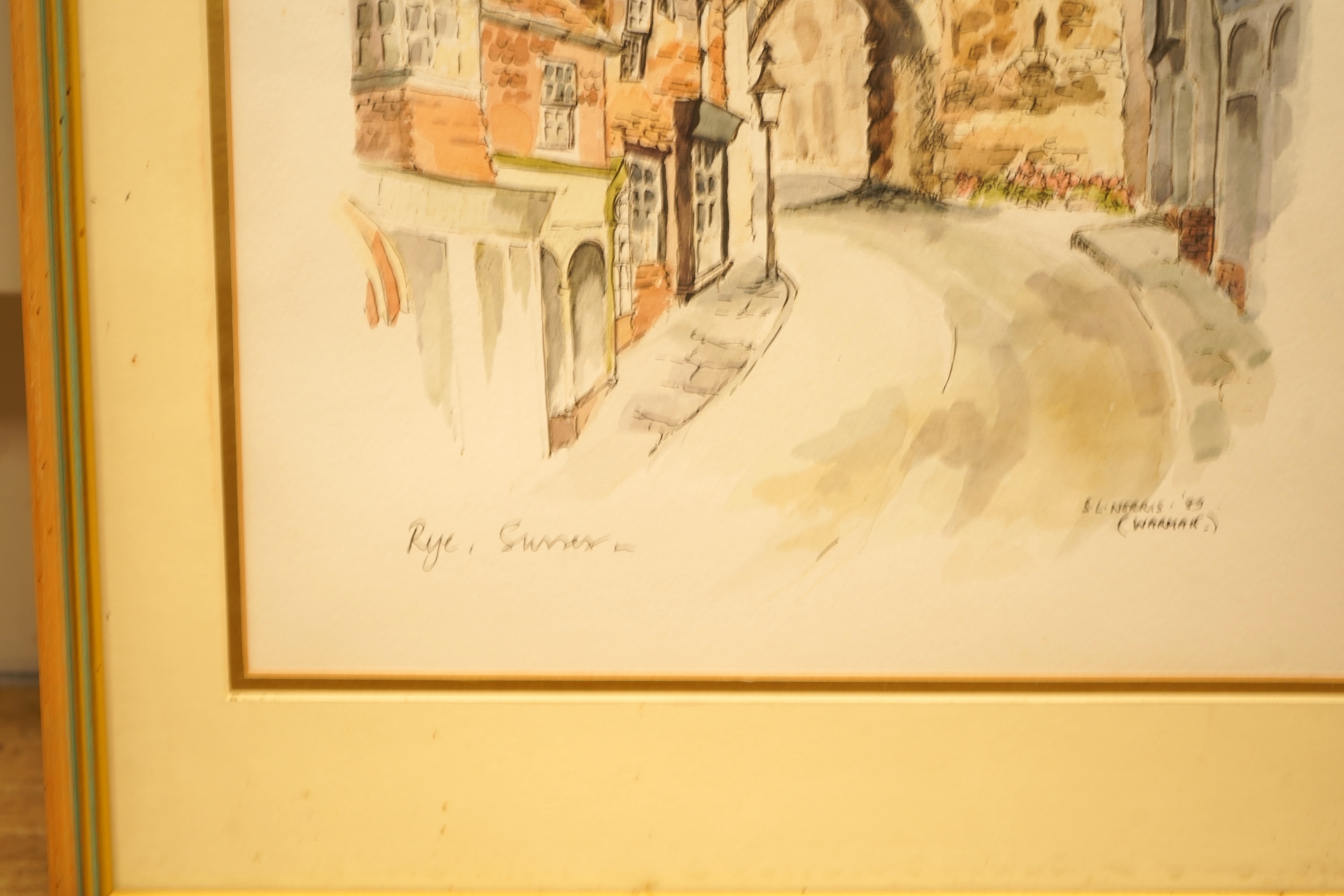 A collection of mostly prints and some watercolours to include an ink and watercolour, Coastal view with boats, Rye, Sussex street scene, Study of leaves and Study of birds, each framed